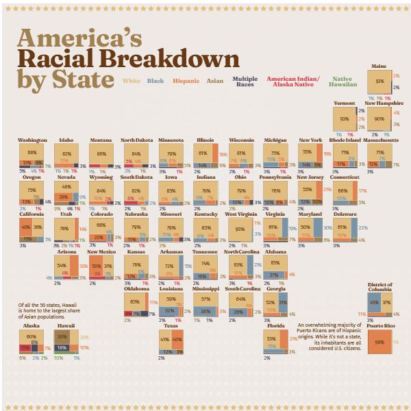 America's Racial Breakdown by State Infographic